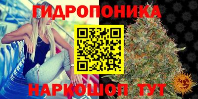 эйфоретик Гусев