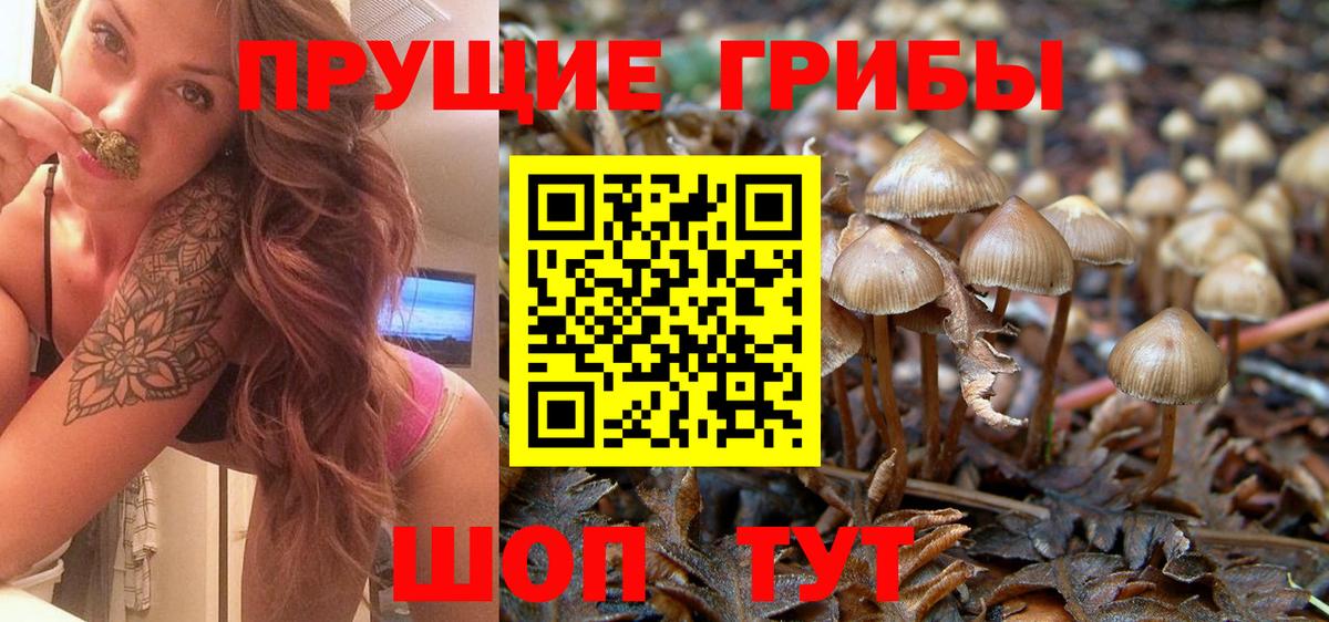 Псилоцибиновые грибы мицелий Лыткарино